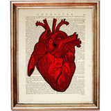 Anatomy Set of 3 Prints, Red Heart Wall Art Set, Human Anatomy Posters