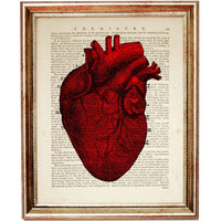 Anatomy Set of 3 Prints, Red Heart Wall Art Set, Human Anatomy Posters