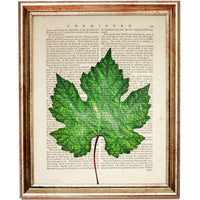 Botanical Vintage Dictionary Art Prints Set of 10