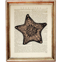 Set of 4 Starfish Dictionary Art Prints, Seaside Serenity Poster