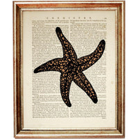 Set of 4 Starfish Dictionary Art Prints, Seaside Serenity Poster