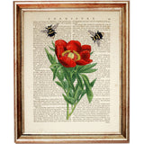 Set of 6 Flowers with Bees Dictionary Art Prints, Blooming Harmony