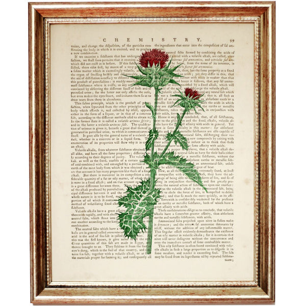 Wild and Free: Vibrant Wildflower Dictionary Art Print - Fun & Unique