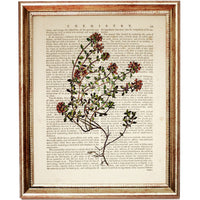 Set of 3 Wild Flower Dictionary Art Prints, Blooming Wisdom Decor