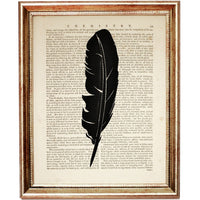 Set of 6 Feather Dictionary Art Print, Feather Poster