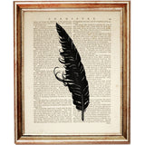 Set of 6 Feather Dictionary Art Print, Feather Poster