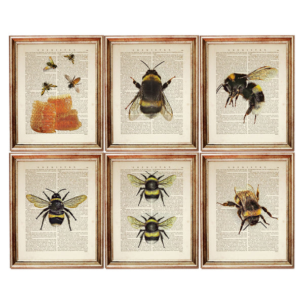 Set of 6 Bumble Bee Dictionary Art Prints, Buzzing Beauty Wall Decor