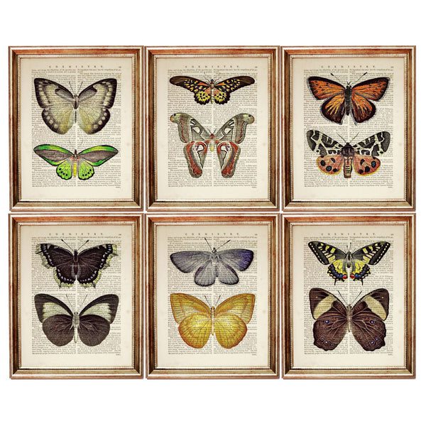 Set of 6 Butterfly Dictionary Art Prints, Fluttering Wings Wall Decor