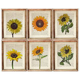 Set of 6 Stunning Dictionary Art Prints, Sunflower Symphony Wall Decor