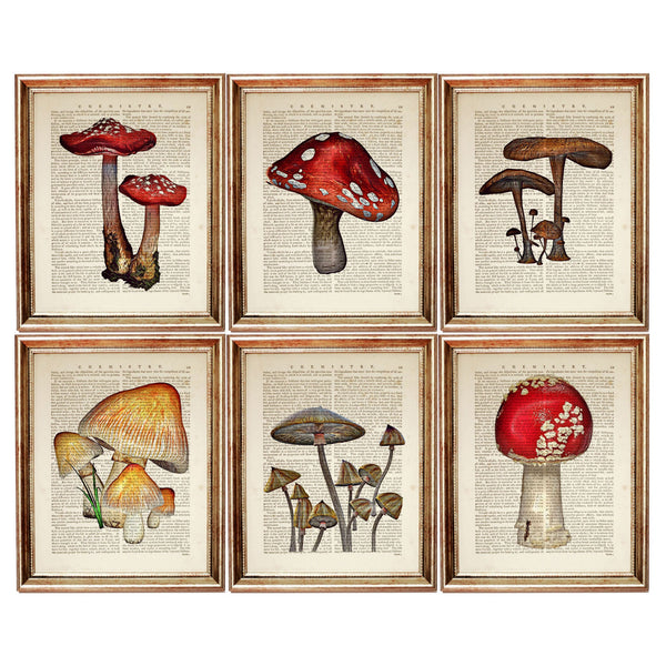 Set of 6 Mushroom Dictionary Art Prints, Fungi Fanatics Kitchen Wall Decor