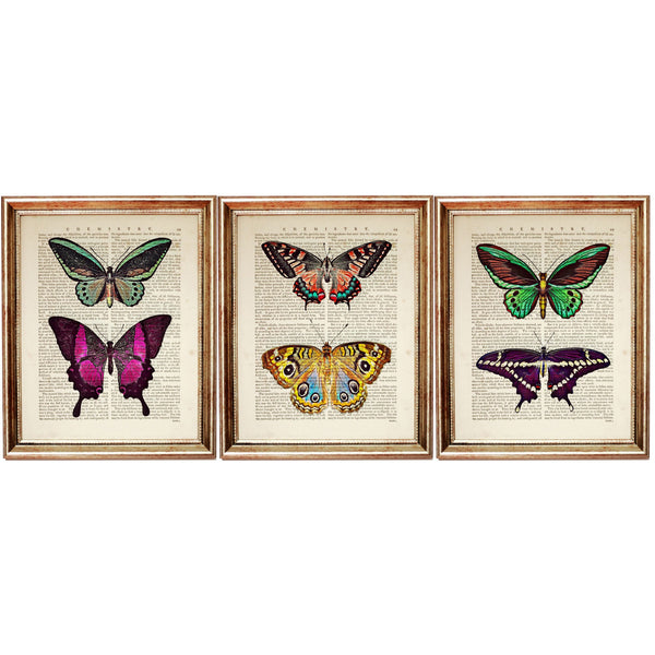 Set of 3 Butterfly Dictionary Art Prints - Wall Decor