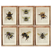 Set of 6 Bumblebee Dictionary Art Prints, Buzzing Beauties Wall Decor