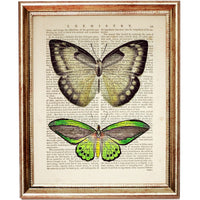 Set of 6 Butterfly Dictionary Art Prints, Fluttering Wings Wall Decor