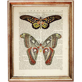 Set of 6 Butterfly Dictionary Art Prints, Fluttering Wings Wall Decor