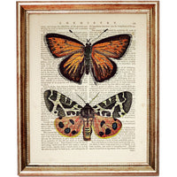 Set of 6 Butterfly Dictionary Art Prints, Fluttering Wings Wall Decor