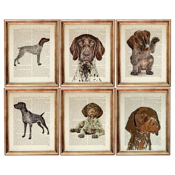 German Shorthaired Pointer Dictionary Art Prints Set, GSP Wall Art Set of 6