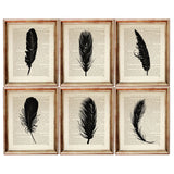 Set of 6 Feather Dictionary Art Print, Feather Poster