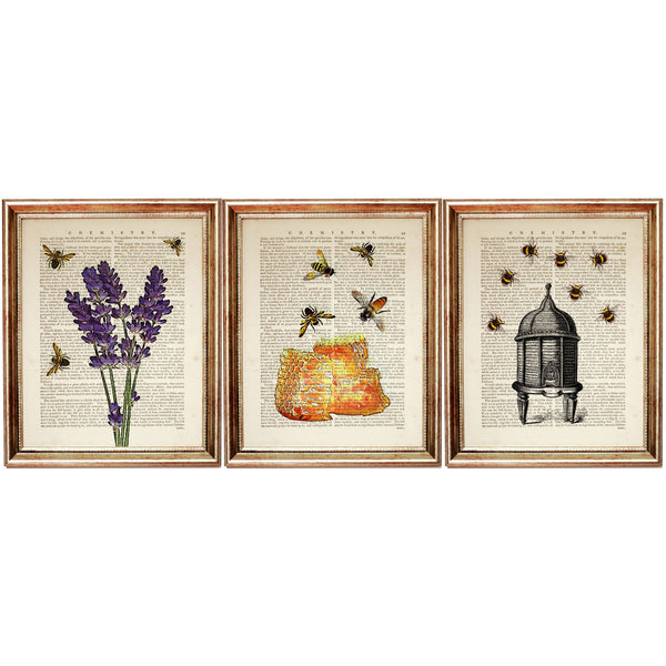 Botanical Wall Art Set of 3 Flowers, Bees, Dictionary Prints - Honey Beehive Poster Trio