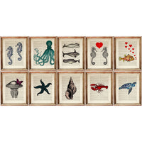 Ocean Life Art Prints Set of 10 - Octopus, Turtle, Lobster, Fish - Wall Art Decor