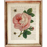 Botanical Dictionary Art Prints Set of 3 - Lavender, Pink Rose, Daisy with Bees