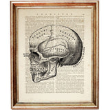 Set of 4 Anatomical Dictionary Art Prints, Science-Lover's Home Decor