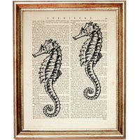 Set of 4 Sea Life Dictionary Art Prints, Marine Marvels Wall Decor