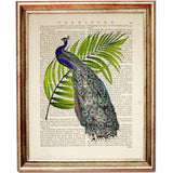 Peacock Dictionary Art Print, Large Bird Wall Nursery Home Decor