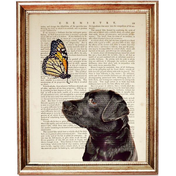 Chocolate Labrador Butterfly Dictionary Art Print, Labrador Poster Dog Nursery Decor