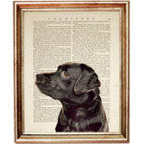 Chocolate Labrador Dictionary Art Print, Dog Nursery Wall Decor