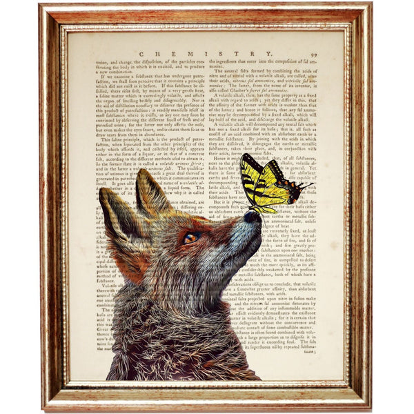 The Fox and the Butterfly Dictionary Art Print