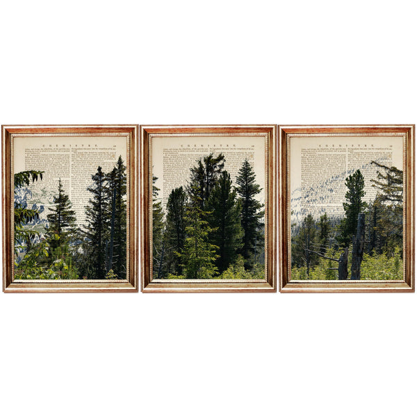 The Wild Woodland Set of 3 Forest Dictionary Art Prints