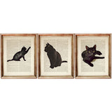 Black Cat Dictionary Art Prints - Set of 3 Cat Wall Decor, Gift for Cat Lovers