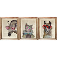 Funny Animal Portrait Art Prints Set of 3 - Zebra, Llama, Cat - Nursery Wall Decor