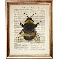 Set of 4 Flowers with Bees Dictionary Art Prints, Blooming Harmony Art