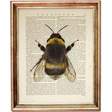 Set of 4 Flowers with Bees Dictionary Art Prints, Blooming Harmony Art