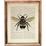 Sunflower Bee Teapot Dictionary Art Prints Set