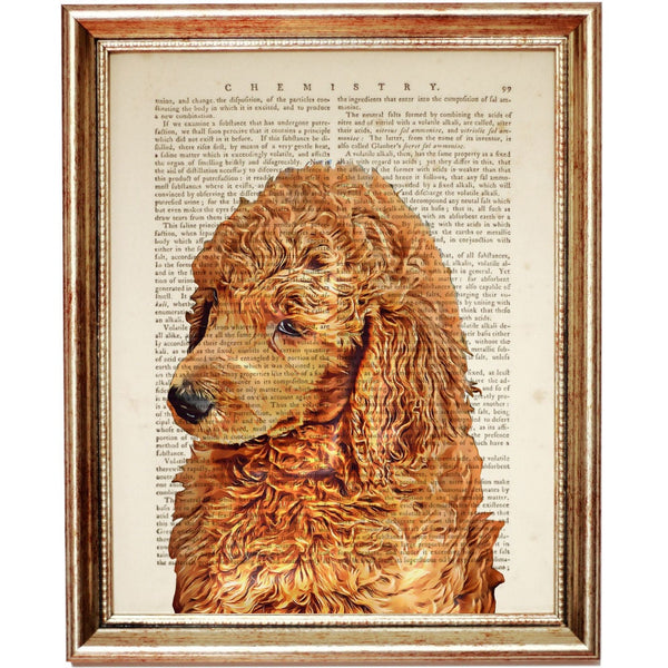 Poodle Dictionary Art Print, Poodle Poster Dog Lovers, Pet Portrait Nursery Decor