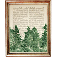 Forest Wall Art Prints Set of 6, Nature Dictionary Art Decor