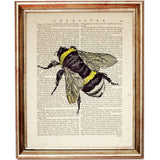 Dictionary Art Prints Set of 10, Bumble Bee Wall Decor