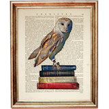 Wise Owl on Book Stack Dictionary Art Print for Book Lovers