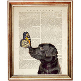 Set of 4 Animal Portraits Dictionary Art Prints, Wild Essence Poster