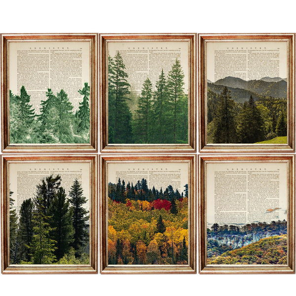Forest Wall Art Prints Set of 6, Nature Dictionary Art Decor