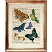 Set of 6 Exquisite Butterfly Dictionary Art Prints, Butterfly Bliss