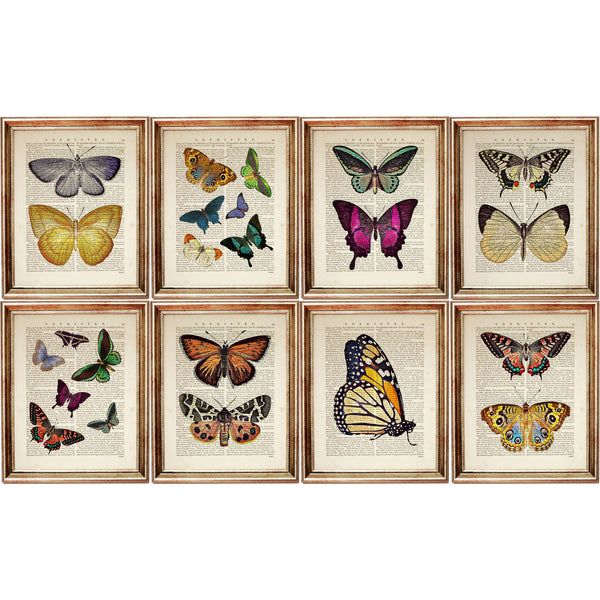 Set of 8 Colorful Butterflies Dictionary Art Prints, Nature Wall Decor