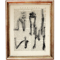 Set of 6 Da Vinci Anatomical Drawings Dictionary Art Prints