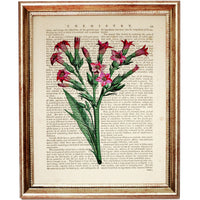 Set of 6 Floral Dictionary Art Prints: Blooming Beauty Posters