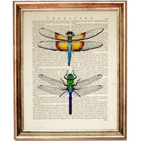 Set of 3 Dragonfly Dictionary Art Prints, Fluttering Wings Wall Decor