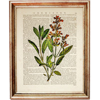 Set of 4 Botanical Leaf Dictionary Art Prints, Leafy Whispers Poster