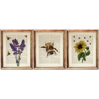 Sunflower Lavender Bumblebee Botanical Dictionary Art Prints Set - Wall Art Decor