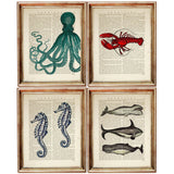 Set of 4 Sea Life Dictionary Art Prints, Marine Marvels Poster Artwork